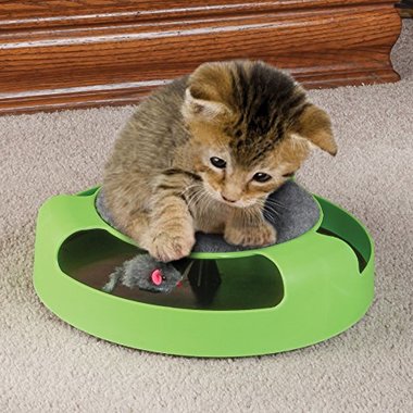 Gifts 4 All - Cat Toy with Moving Mouse