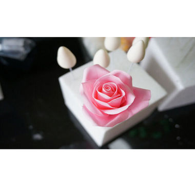 Gifts 4 All 6PC - Sugar Craft Rose / Flower Making Tool